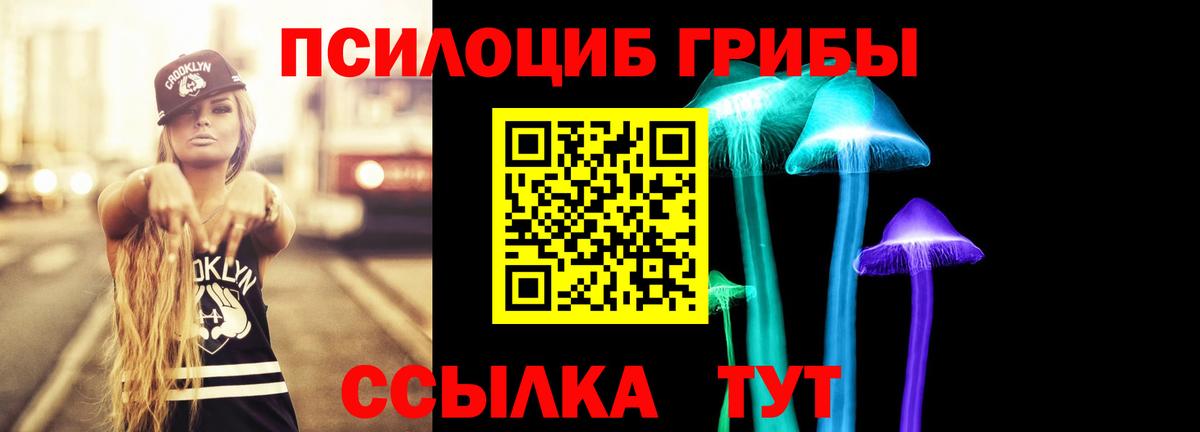 где купить наркоту  Псилоцибиновые грибы ЛСД  Вход с VPN  Волжск 